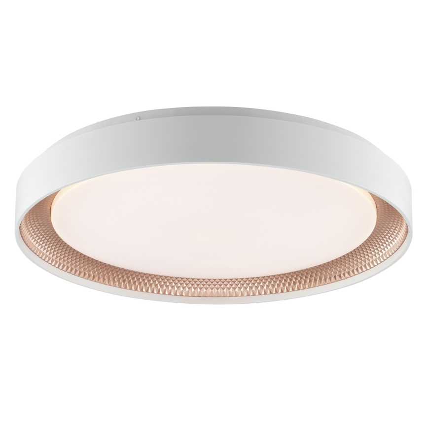 Brilliant - Димируемо LED таванно осветително тяло WALDO LED/36W/230V 3000-6500K Ø 48,5 см бял/розово злато + дистанционно управление