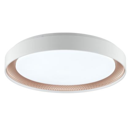 Brilliant - Димируемо LED таванно осветително тяло WALDO LED/36W/230V 3000-6500K Ø 48,5 см бял/розово злато + дистанционно управление