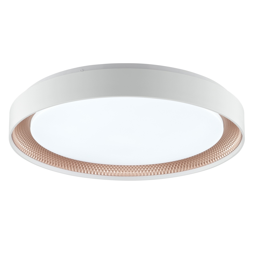 Brilliant - Димируемо LED таванно осветително тяло WALDO LED/36W/230V 3000-6500K Ø 48,5 см бял/розово злато + дистанционно управление