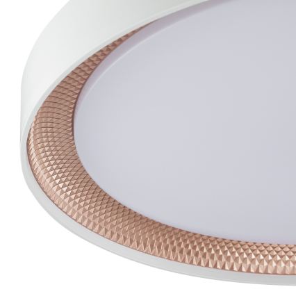 Brilliant - Димируемо LED таванно осветително тяло WALDO LED/36W/230V 3000-6500K Ø 48,5 см бял/розово злато + дистанционно управление