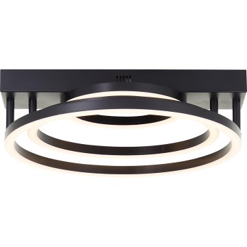 Brilliant - димируема LED таванна лампа PEDLEY LED/36W/230V черна