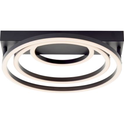 Brilliant - димируема LED таванна лампа PEDLEY LED/36W/230V черна