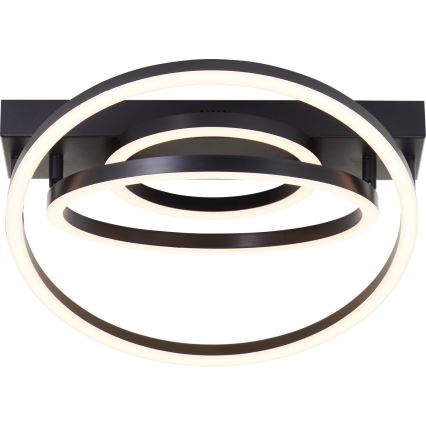 Brilliant - димируема LED таванна лампа PEDLEY LED/36W/230V черна