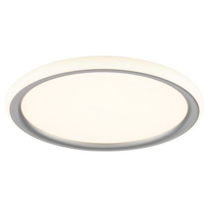 Brilliant - LED димируемо таванно осветително тяло CARLOZ LED/16W/230V Ø 30 см бял/ сив