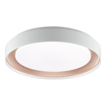 Brilliant - Димируемо LED таванно осветително тяло WALDO LED/24W/230V 3000-6500K Ø 38,5 cm бял/розово злато + дистанционно управление