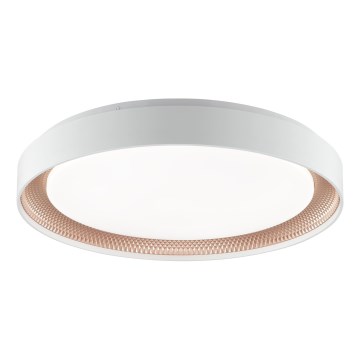 Brilliant - Димируемо LED таванно осветително тяло WALDO LED/36W/230V 3000-6500K Ø 48,5 см бял/розово злато + дистанционно управление
