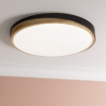 Brilliant - LED Димируем плафон BAARLO LED/36W/230V 3000-6500K Ø 50 см черен/каучуков фикус + дистанционно управление