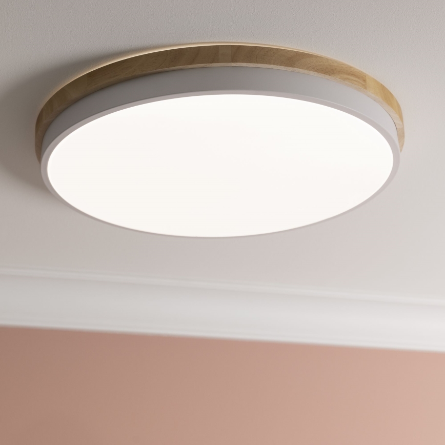 Brilliant - LED Димируем плафон BAARLO LED/36W/230V 3000-6500K Ø 50 см бял/каучуков фикус + дистанционно управление - FSC сертифицирано
