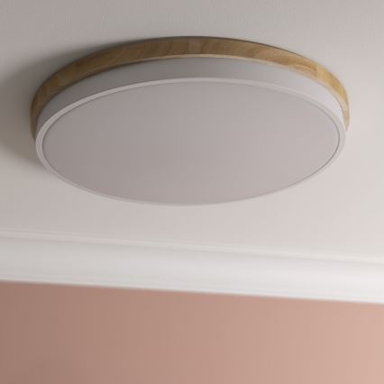 Brilliant - LED Димируем плафон BAARLO LED/36W/230V 3000-6500K Ø 50 см бял/каучуков фикус + дистанционно управление - FSC сертифицирано