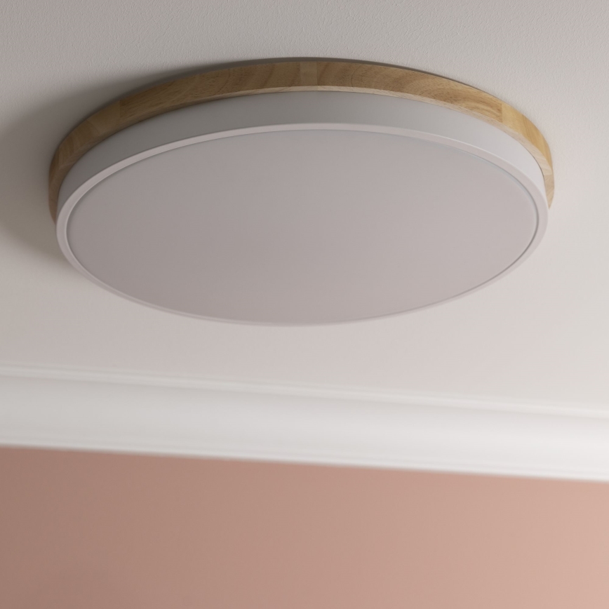 Brilliant - LED Димируем плафон BAARLO LED/36W/230V 3000-6500K Ø 50 см бял/каучуков фикус + дистанционно управление - FSC сертифицирано