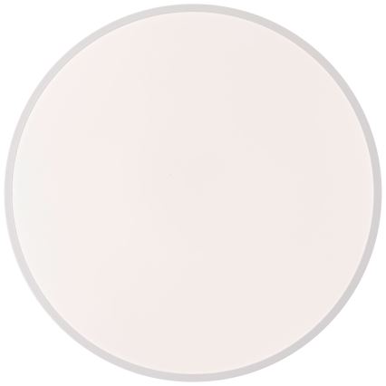 Brilliant - LED Димируем плафон BAARLO LED/36W/230V 3000-6500K Ø 50 см бял/каучуков фикус + дистанционно управление - FSC сертифицирано