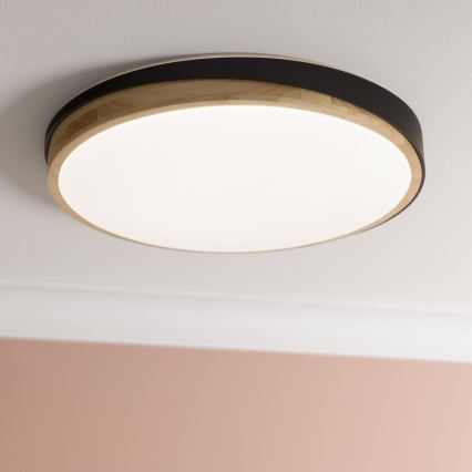 Brilliant - LED Димируем плафон BAARLO LED/36W/230V 3000-6500K Ø 50 см черен/каучуков фикус + дистанционно управление - FSC сертифицирано