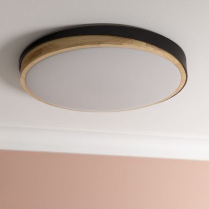 Brilliant - LED Димируем плафон BAARLO LED/36W/230V 3000-6500K Ø 50 см черен/каучуков фикус + дистанционно управление - FSC сертифицирано