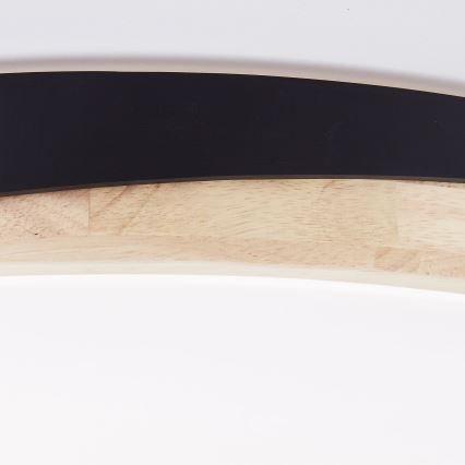 Brilliant - LED Димируем плафон BAARLO LED/36W/230V 3000-6500K Ø 50 см черен/каучуков фикус + дистанционно управление - FSC сертифицирано