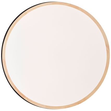 Brilliant - LED Димируем плафон BAARLO LED/36W/230V 3000-6500K Ø 50 см черен/каучуков фикус + дистанционно управление