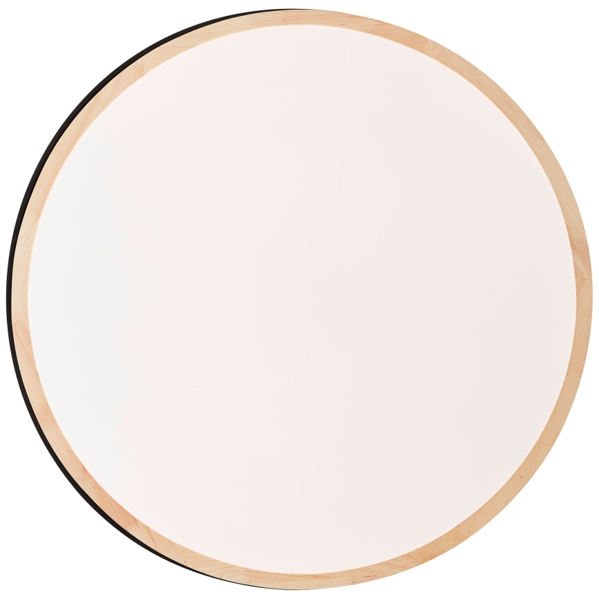 Brilliant - LED Димируем плафон BAARLO LED/36W/230V 3000-6500K Ø 50 см черен/каучуков фикус + дистанционно управление