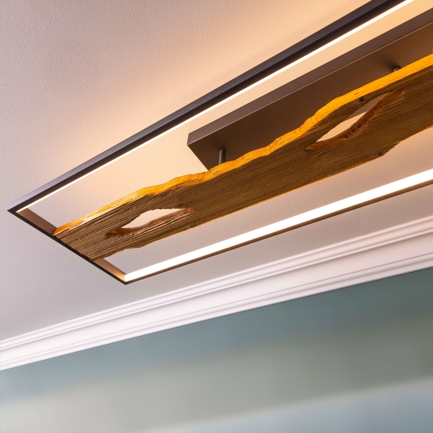Brilliant - LED Димируем плафон CHAUMONT LED/48W/230V каучуков фикус