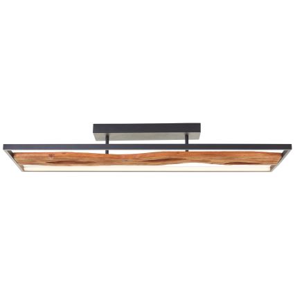 Brilliant - LED Димируем плафон CHAUMONT LED/48W/230V каучуков фикус