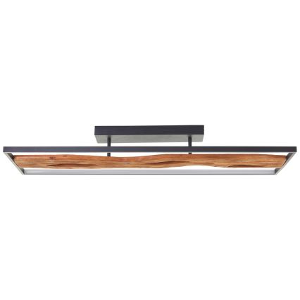 Brilliant - LED Димируем плафон CHAUMONT LED/48W/230V каучуков фикус