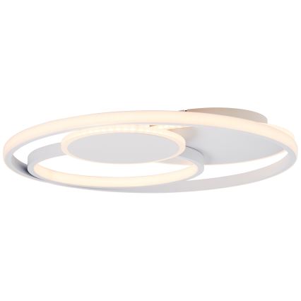 Brilliant - LED Димируем плафон RUNDA LED/50W/230V 3000-6500K бял + дистанционно управление