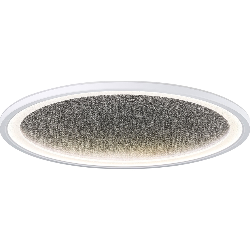 Brilliant - LED Димируем плафон TANIDA LED/31W/230V 3000-6500K + дистанционно управление