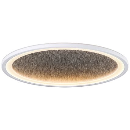 Brilliant - LED Димируем плафон TANIDA LED/31W/230V 3000-6500K + дистанционно управление
