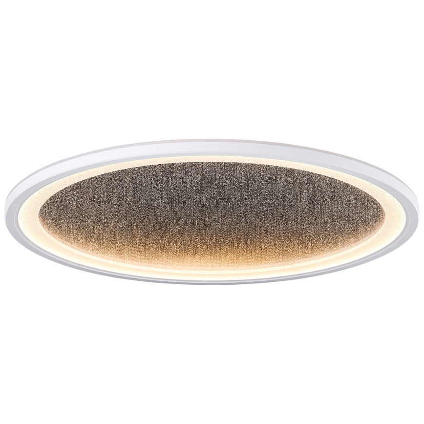 Brilliant - LED Димируем плафон TANIDA LED/31W/230V 3000-6500K + дистанционно управление