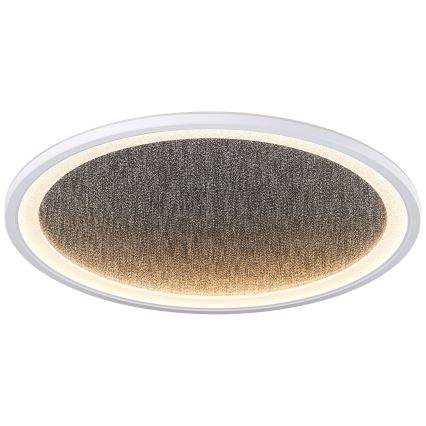 Brilliant - LED Димируем плафон TANIDA LED/31W/230V 3000-6500K + дистанционно управление