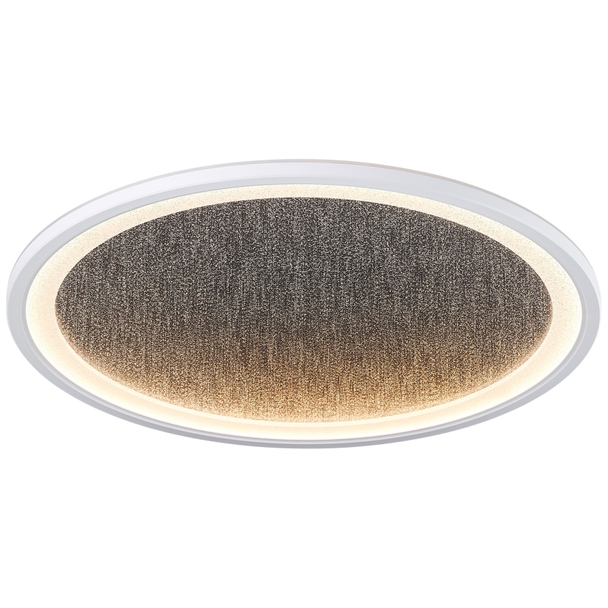 Brilliant - LED Димируем плафон TANIDA LED/31W/230V 3000-6500K + дистанционно управление
