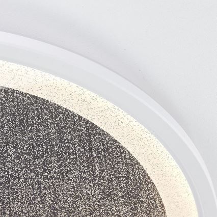 Brilliant - LED Димируем плафон TANIDA LED/31W/230V 3000-6500K + дистанционно управление