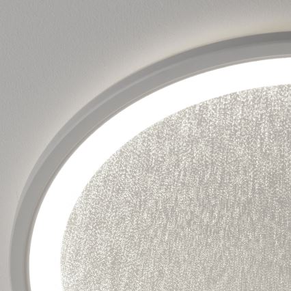 Brilliant - LED Димируем плафон TANIDA LED/31W/230V 3000-6500K + дистанционно управление