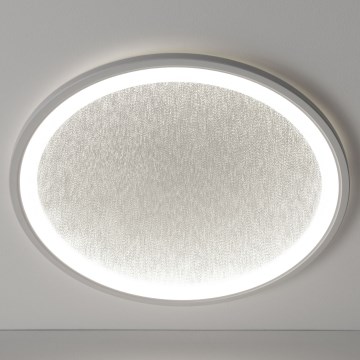 Brilliant - LED Димируем плафон TANIDA LED/31W/230V 3000-6500K + дистанционно управление