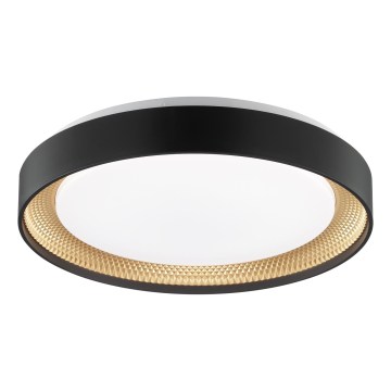 Brilliant - LED димируема таванна лампа WALDO LED/24W/230V 3000-6500K Ø 38,5 cm черно/златисто + дистанционно управление
