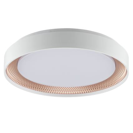 Brilliant - Димируемо LED таванно осветително тяло WALDO LED/24W/230V 3000-6500K Ø 38,5 cm бял/розово злато + дистанционно управление