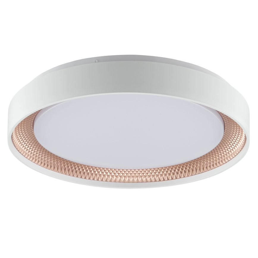 Brilliant - Димируемо LED таванно осветително тяло WALDO LED/24W/230V 3000-6500K Ø 38,5 cm бял/розово злато + дистанционно управление