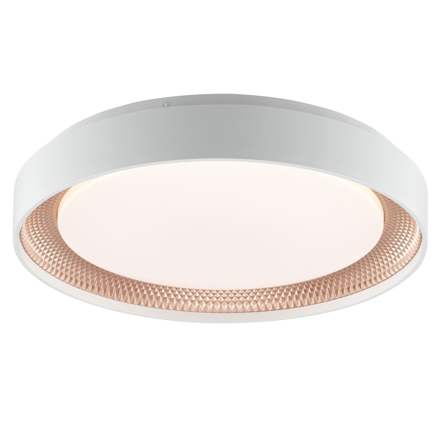 Brilliant - Димируемо LED таванно осветително тяло WALDO LED/24W/230V 3000-6500K Ø 38,5 cm бял/розово злато + дистанционно управление