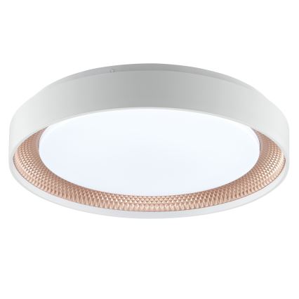 Brilliant - Димируемо LED таванно осветително тяло WALDO LED/24W/230V 3000-6500K Ø 38,5 cm бял/розово злато + дистанционно управление