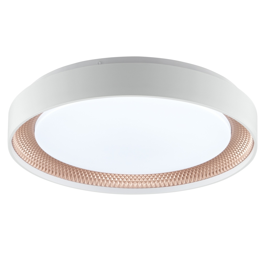 Brilliant - Димируемо LED таванно осветително тяло WALDO LED/24W/230V 3000-6500K Ø 38,5 cm бял/розово злато + дистанционно управление