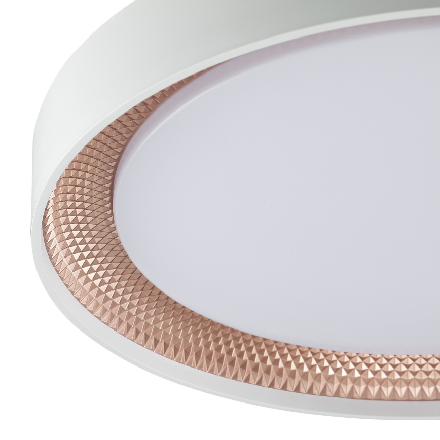 Brilliant - Димируемо LED таванно осветително тяло WALDO LED/24W/230V 3000-6500K Ø 38,5 cm бял/розово злато + дистанционно управление