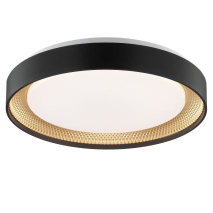 Brilliant - LED димируема таванна лампа WALDO LED/24W/230V 3000-6500K Ø 38,5 cm черно/златисто + дистанционно управление