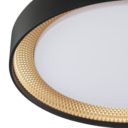 Brilliant - LED димируема таванна лампа WALDO LED/24W/230V 3000-6500K Ø 38,5 cm черно/златисто + дистанционно управление