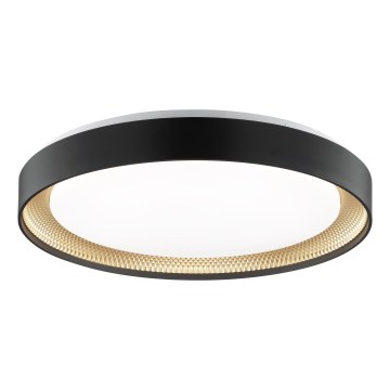 Brilliant - LED димируемо таванно осветително тяло WALDO LED/36W/230V 3000-6500K Ø 48,5 cm черно/златисто + дистанционно управление