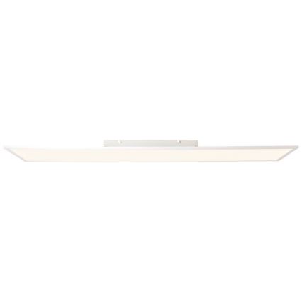 Brilliant - LED Панел CHARLA LED/40W/230V 29,5x119,5 см 2700K