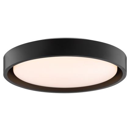 Brilliant - LED плафон SONORA LED/12W/230V 3000K Ø 31 см черен