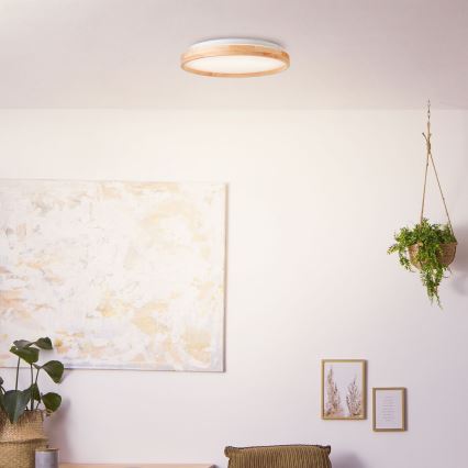 Brilliant - LED Плафониера ALSON LED/26W/230V 3000/4500K Ø 39,5 см каучуков фикус - FSC сертифицирано