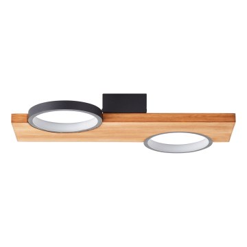 Brilliant - LED Плафониера CHEESY LED/14W/230V бор - FSC сертифицирано