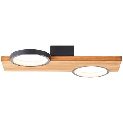 Brilliant - LED Плафониера CHEESY LED/14W/230V бор - FSC сертифицирано