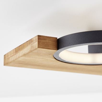 Brilliant - LED Плафониера CHEESY LED/14W/230V бор - FSC сертифицирано