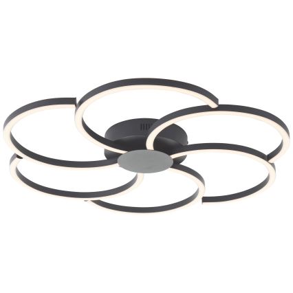 Brilliant - LED Димируем плафон FICO LED/32W/230V 3000-6500K Ø 65 см черен + дистанционно управление