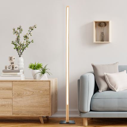 Brilliant - LED подова лампа ARION LED/14W/230V борова